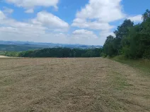 Dražba pozemku, Chlum, 12440 m2