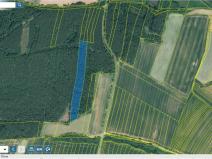 Prodej lesa, Manětín - Stvolny, 12970 m2