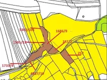 Prodej lesa, Černovice, 10978 m2
