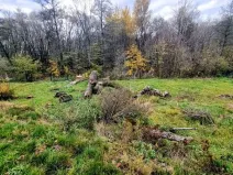 Prodej pozemku pro bydlení, Kostelec, 1097 m2