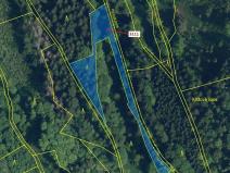 Dražba lesa, Benešov u Semil, 2958 m2