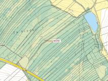 Dražba lesa, Netřebice, 8502 m2