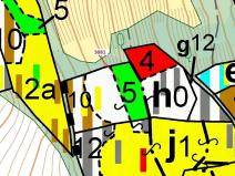 Dražba lesa, Benešov u Semil, 6213 m2