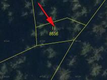 Prodej lesa, Huslenky, 198 m2