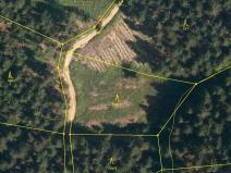 Prodej lesa, Lhota u Vsetína, 2930 m2