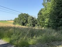 Pronájem louky, Ostrava - Polanka nad Odrou, K Lípě, 9850 m2