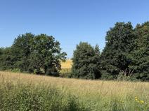 Pronájem louky, Ostrava - Polanka nad Odrou, K Lípě, 9850 m2