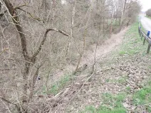 Prodej lesa, Radnice, 2185 m2