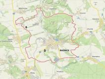 Prodej lesa, Radnice, 2185 m2