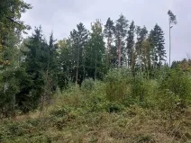 Prodej podílu lesa, Libňatov, 84826 m2