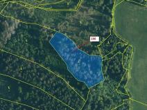 Dražba lesa, Zálezly, 4542 m2