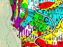 Dražba lesa, Spešov, 2643 m2