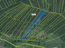 Dražba lesa, Milavče, 5152 m2