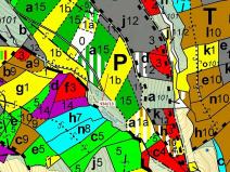 Dražba lesa, Jílové u Držkova, 6213 m2