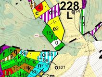 Dražba lesa, Rabí, 7006 m2