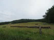 Dražba louky, Tašov, 71789 m2