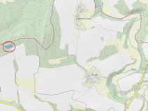 Prodej lesa, Louňovice pod Blaníkem, 4560 m2