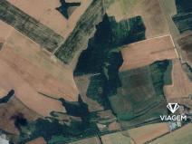 Prodej zahrady, Popovice, 714 m2