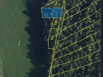 Prodej lesa, Kojčice, 1102 m2