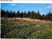 Prodej lesa, Vladislav, 11904 m2