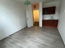 Pronájem bytu 1+kk, Brno, Halasovo náměstí, 24 m2