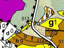 Dražba lesa, Valašská Senice, 917 m2