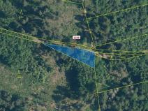 Dražba lesa, Černíkov, 522 m2