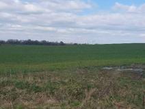 Dražba zahrady, Plzeň, 7558 m2