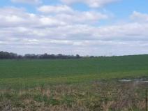 Dražba zahrady, Plzeň, 7558 m2