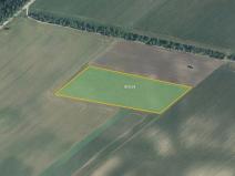 Prodej sadu/vinice, Bulhary, 82048 m2