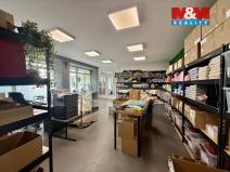 Prodej skladu, Bohumín - Šunychl, Šunychelská, 460 m2