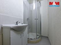 Prodej bytu 1+1, Karlovy Vary, K. Čapka, 36 m2