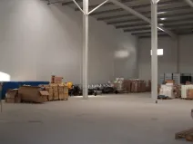 Pronájem skladu, Mírová, 878 m2