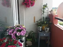 Prodej bytu 3+1, Most, Františka Malíka, 86 m2