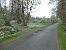 Dražba pozemku pro bydlení, Benešov nad Černou, 2520 m2