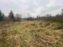 Dražba pozemku, Potěhy, 1589 m2