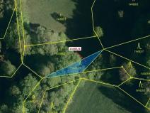 Dražba lesa, Hovězí, 173 m2