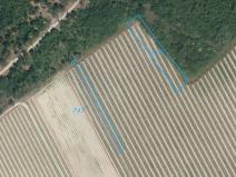 Prodej pozemku, Znojmo - Konice, 2437 m2