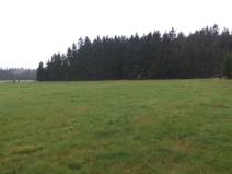 Prodej pozemku, Nová Bystřice, 2593 m2