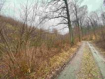 Prodej pole, Ždánice, 3207 m2