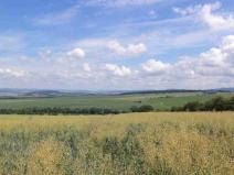 Prodej pole, Uherský Brod, 8978 m2