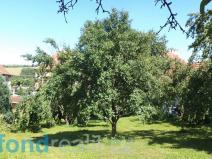 Prodej pozemku, Podolí, 10906 m2