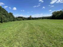 Prodej pozemku, Boňkov, 7010 m2