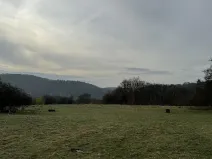 Prodej pozemku, Sloup, 3678 m2