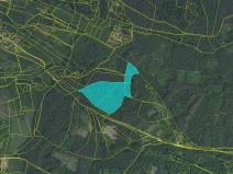 Prodej lesa, Kozárovice, 40085 m2