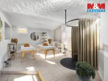 Prodej obchodního prostoru, Liberec - Liberec IV-Perštýn, Na Perštýně, 53 m2