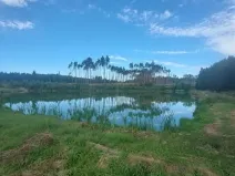 Pronájem rybníku, Komárovice, 9025 m2