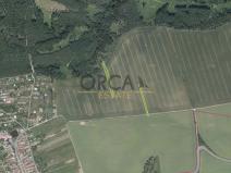 Prodej pole, Alojzov, 5248 m2