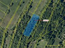 Dražba louky, Jankovice, 2523 m2