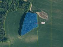 Dražba lesa, Hradiště, 4542 m2